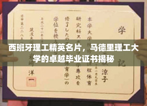 马德里理工骄子，揭秘西班牙工程学界的璀璨明珠