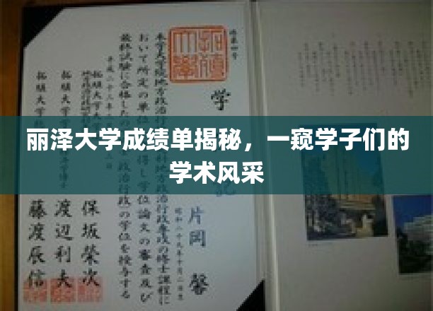 丽泽大学成绩单揭秘，一窥学子们的学术风采