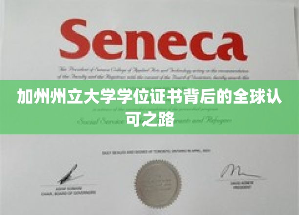 加州州立大学学位证书，跨越国界，全球认可的非凡旅程
