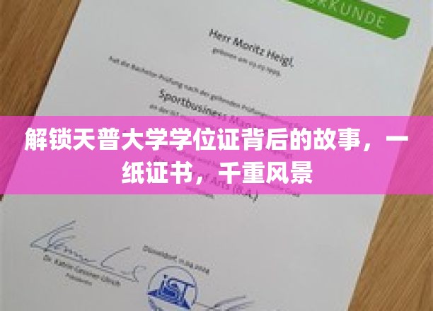 天普大学学位证背后的千姿百态，探寻一纸证书背后的传奇故事