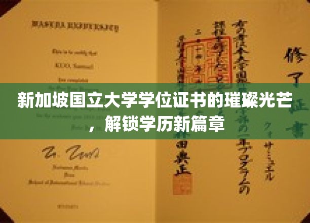 新加坡国立大学学位证书的璀璨光芒,开启学历新篇章