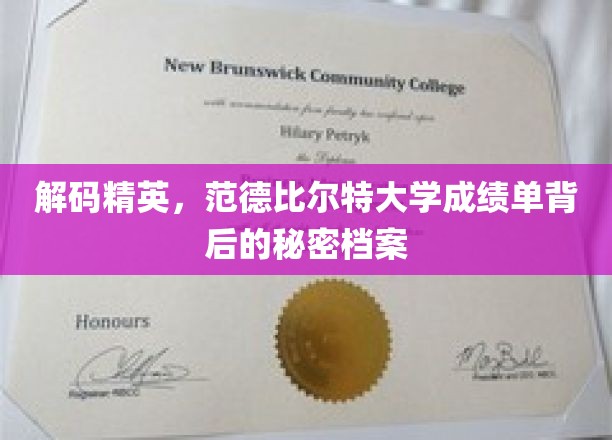 解码顶尖学府，揭开范德比尔特大学学霸背后的秘密宝藏