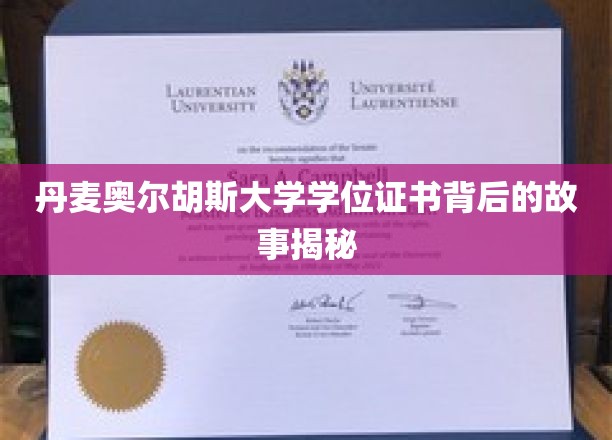 揭开奥尔胡斯大学学位证书的神秘面纱，一段不为人知的传奇历程