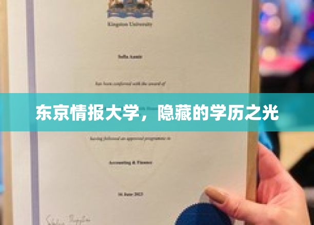 东京情报大学，隐藏的学历之光