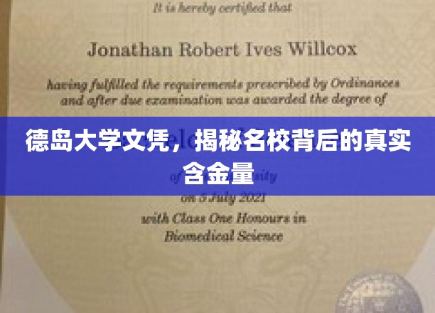 德岛大学文凭，揭秘名校背后的真实含金量