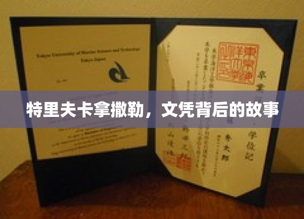 特里夫卡在拿撒勒，文凭背后的故事