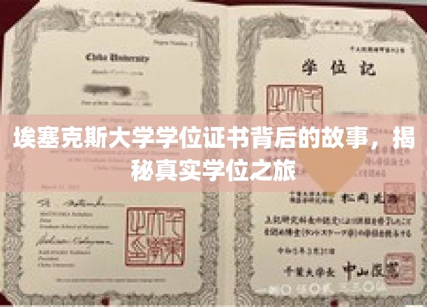 埃塞克斯大学学位之谜，一场真实而精彩的学历征途大揭秘