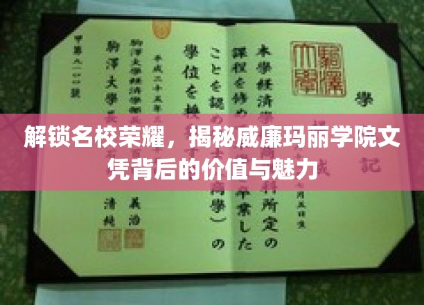 解码威廉玛丽学院，名校文凭的深层价值与独特风采