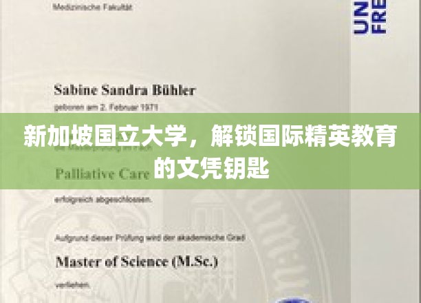 新加坡国立大学，开启全球精英教育之旅的通行证