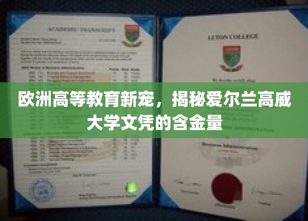 欧洲高等教育新宠，揭秘爱尔兰高威大学文凭的含金量