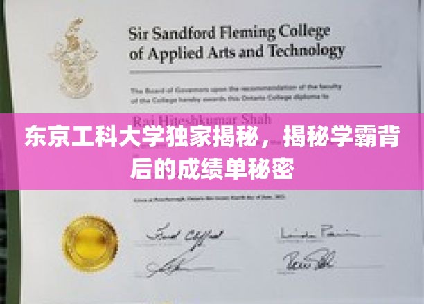 独家揭秘：东京工科大学学霸背后的成绩单秘密