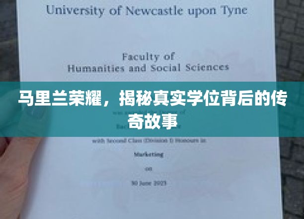 马里兰荣耀，揭秘真实学位背后的传奇故事