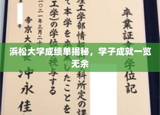 浜松大学成绩单揭秘，学子成就一览无余
