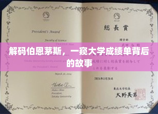 伯恩茅斯秘境探秘，揭秘大学成绩单背后的真实故事