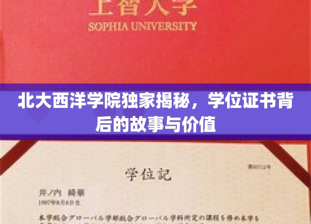 北大西洋学院，学位证书背后的神秘面纱与深远意义
