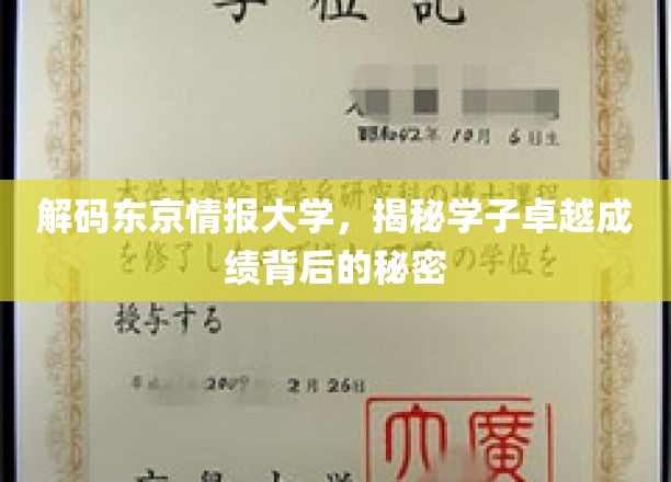 东京情报大学学霸养成记，揭秘卓越成绩的神秘力量