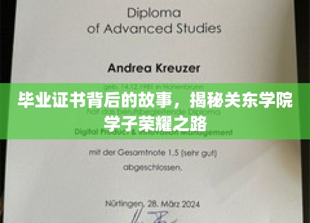 关东学子荣耀足迹，毕业证书背后的奋斗传奇