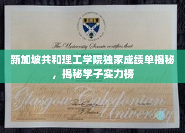 新加坡理工精英实力大揭秘，共和理工学院学子风采览尽