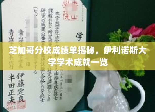 伊利诺斯大学芝加哥分校，揭秘顶尖学术成绩背后的故事