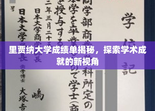 解锁里贾纳大学成绩单背后的故事，揭秘学术成就的独特视角