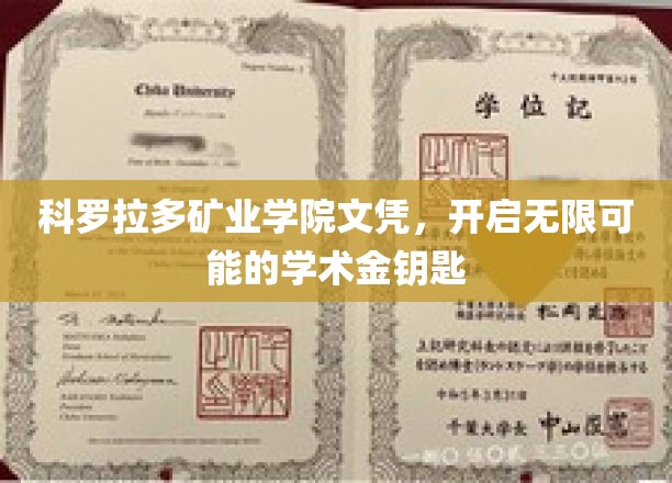 解锁科罗拉多矿业学院，成就未来无限可能的学术之门