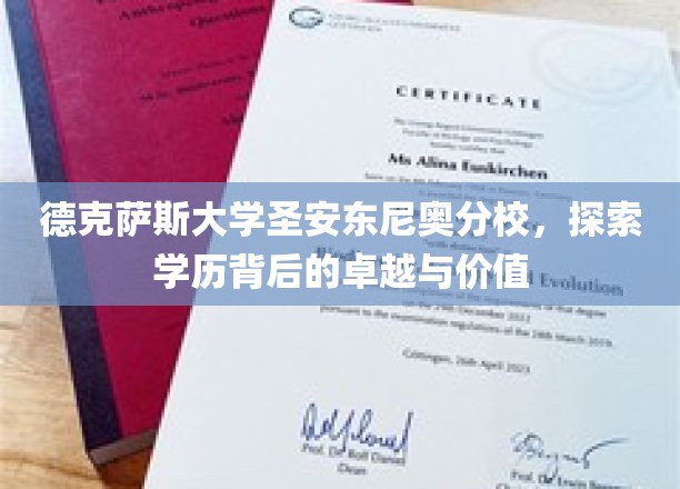 解码德克萨斯大学圣安东尼奥分校，学历之光如何照亮未来人生