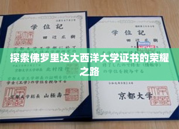 揭开佛罗里达大西洋大学证书背后的辉煌历程
