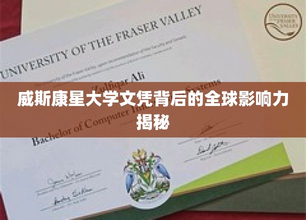 威斯康星大学文凭，揭秘其背后的国际影响力传奇