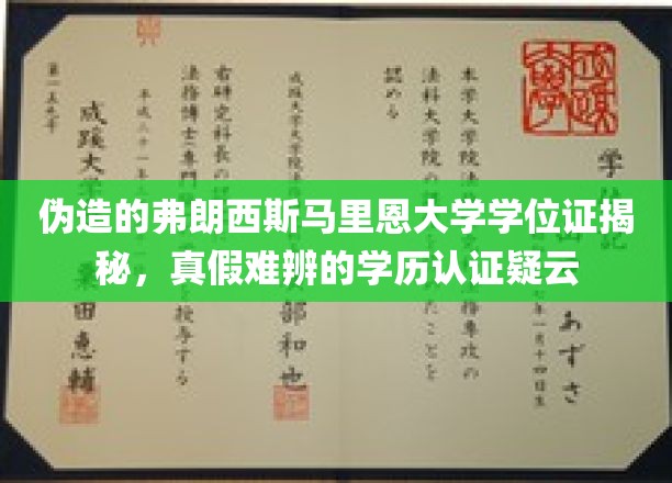 伪造的弗朗西斯·马里恩大学学位证揭秘，真假难辨的学历认证疑云