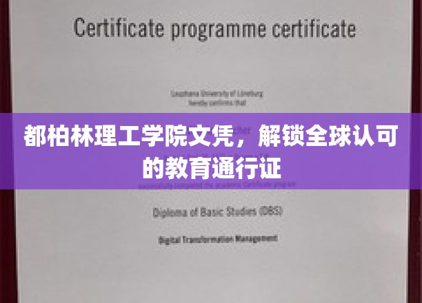国际通行证在手，都柏林理工学院文凭带你飞越全球职场