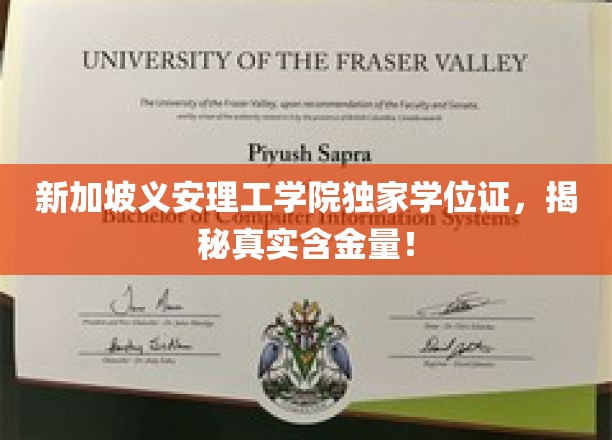 新加坡义安理工学院学位证含金量大揭秘，独家解析，不容错过！