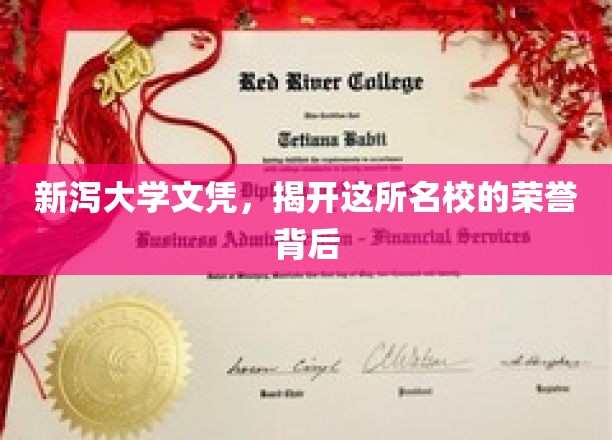 探寻新泻大学，荣誉背后的传奇故事