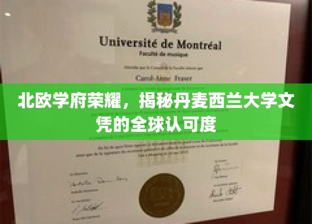 北欧学府荣耀，揭秘丹麦西兰大学文凭的全球认可度