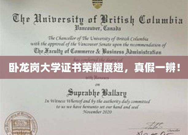 卧龙岗大学证书荣耀展翅，真假一辨！