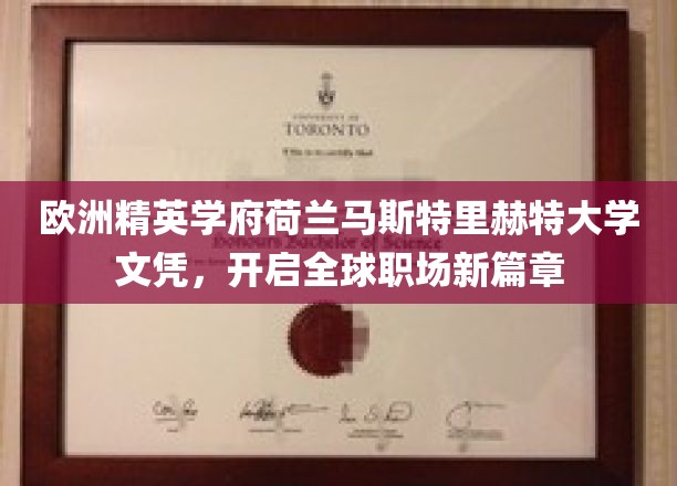 解锁国际职场新高度，荷兰马斯特里赫特大学文凭引领全球就业新潮流