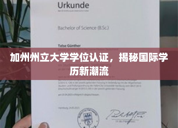 加州学位认证引领潮流，国际学历认证新趋势解读