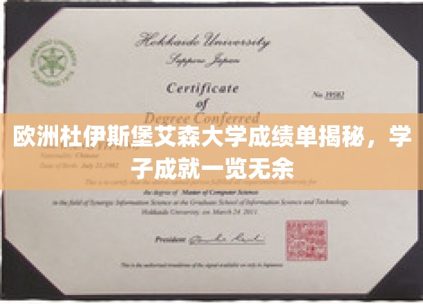 解锁杜伊斯堡艾森大学学子卓越成就，成绩单背后的精彩篇章