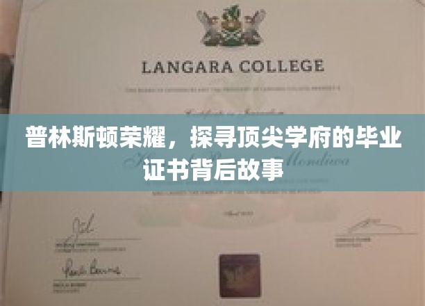解码普林斯顿传奇，毕业证书背后的辉煌篇章