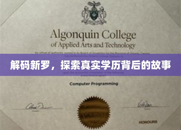 学历真相探秘，新罗之谜，揭开背后不为人知的传奇
