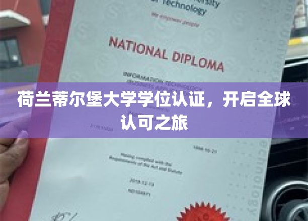 跨国通行证，荷兰蒂尔堡大学学位，引领国际认可新篇章
