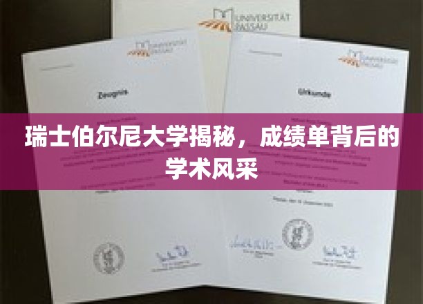 瑞士伯尔尼大学，一纸成绩单背后的卓越学术魅力探秘