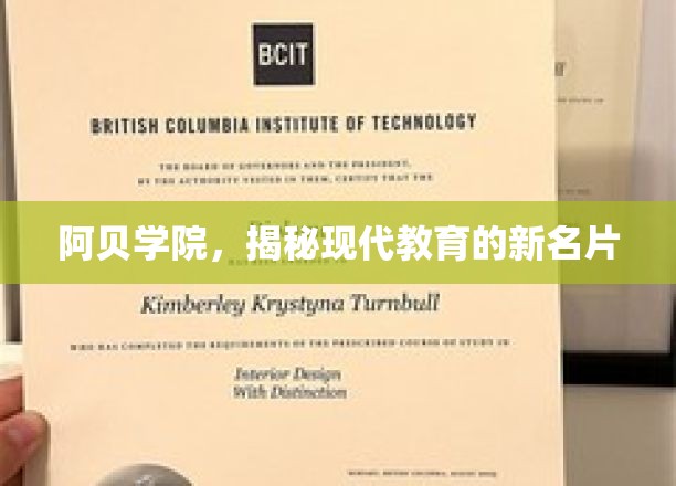 阿贝学院，探索现代教育革新的璀璨之星
