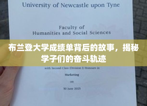 布兰登大学成绩单里的青春足迹，学子奋斗之路全解析
