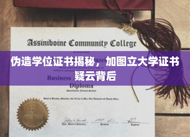 伪造学位证书揭秘，加图立大学证书疑云背后