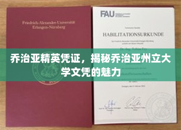 解锁乔治亚精英凭证，乔治亚州立大学文凭的独到魅力