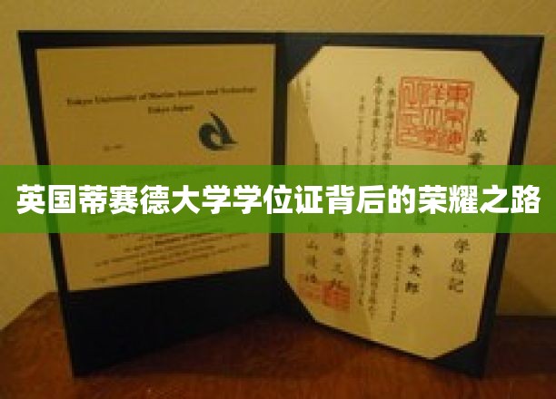 探寻蒂赛德大学学位证背后的辉煌历程