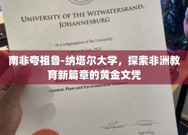 非洲教育新地标，南非夸祖鲁-纳塔尔大学，开启黄金文凭之旅