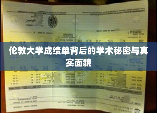 解码伦敦大学，揭开成绩单背后的学术世界