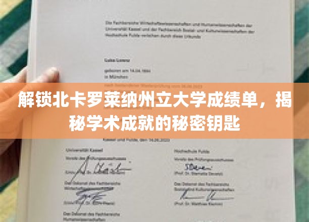 探寻北卡罗莱纳大学学术密码，成绩单背后的秘密宝藏
