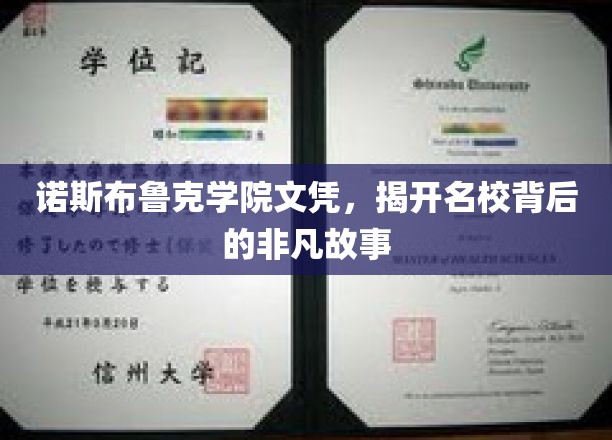 诺斯布鲁克荣耀，探寻名校文凭背后的传奇历程